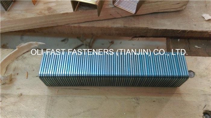 Paslode Gsw Series Staples. 7/8 Inch Leg, 15/16-Inch Crown, 16ga. Galv.