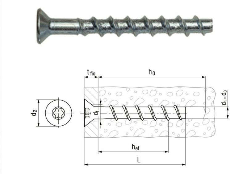 Zinc Plated Countersunk Head Cylindrical Head Torx Drive Hexalobular Socket Concrete Screws