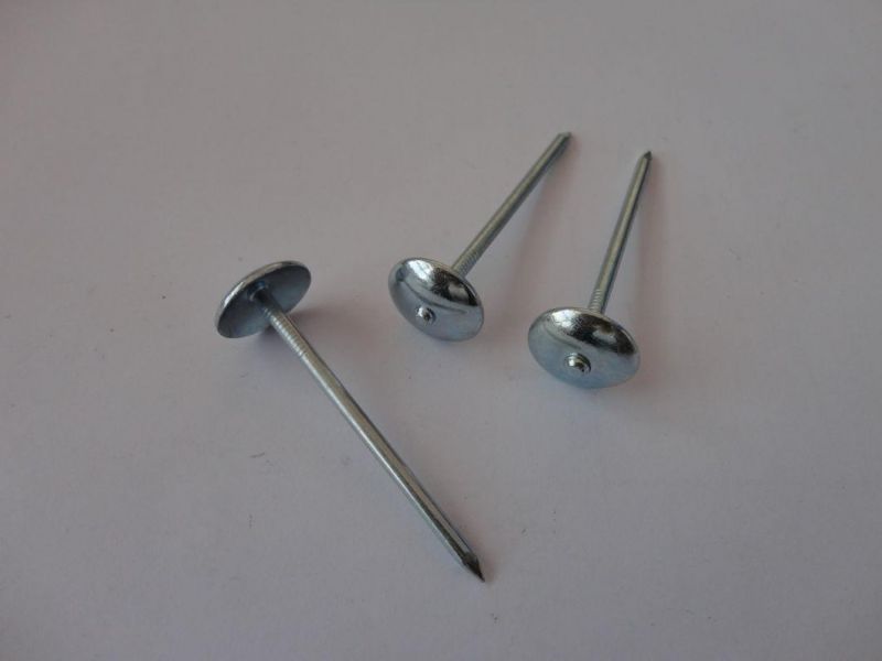 High Quality Electro Galvanized Roofing Nail Umbrella Head Zinc Roofing Nail