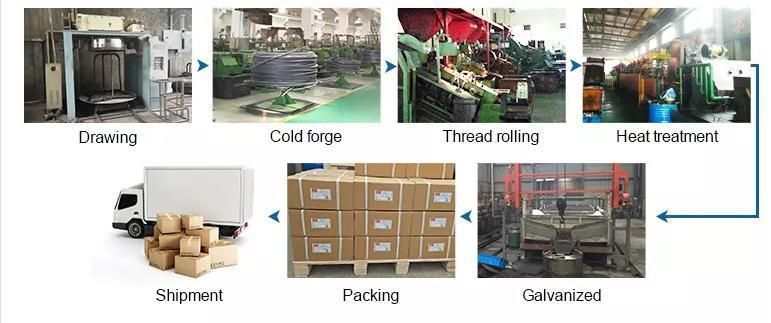 Customized Stainless Steel Carriage Bolt Hex Bolt Flange Bolt T Bolt Square Head Bolt Hex Socket Cap Screw Wing Bolt Eye Bolt Knurled Bolt U Bolt Anchor Bolts