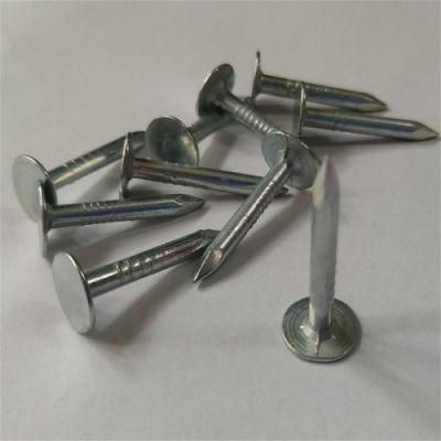 Asphalt Felt Tile Light Steel Villa Roof Big Galvanized Steel Nail