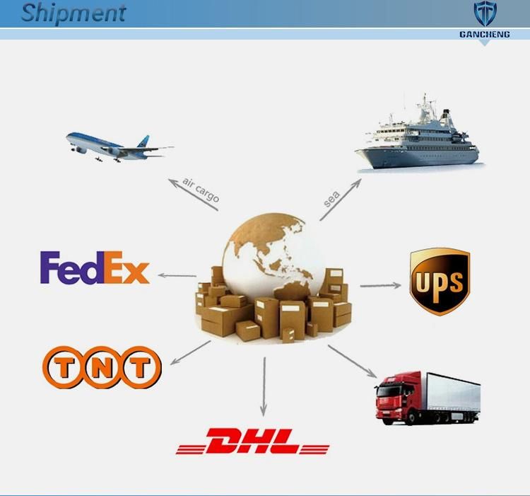 Factory Supply Stainless Steel Carbon Steel Custom Hydraulic Hose Pipe Fitting