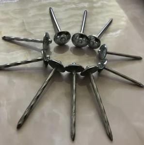 Factory Supply Roofing Nail Smooth Shank From China