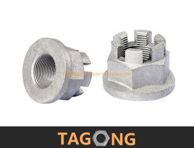 OEM Carbon Special Flange Slotted Nuts
