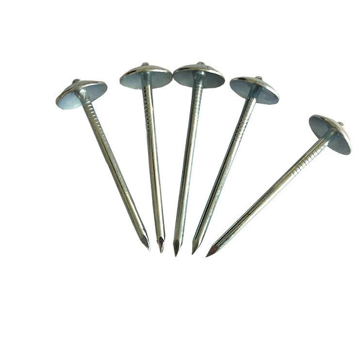 Galvanized Umbrella Head Roofing Nail Factory