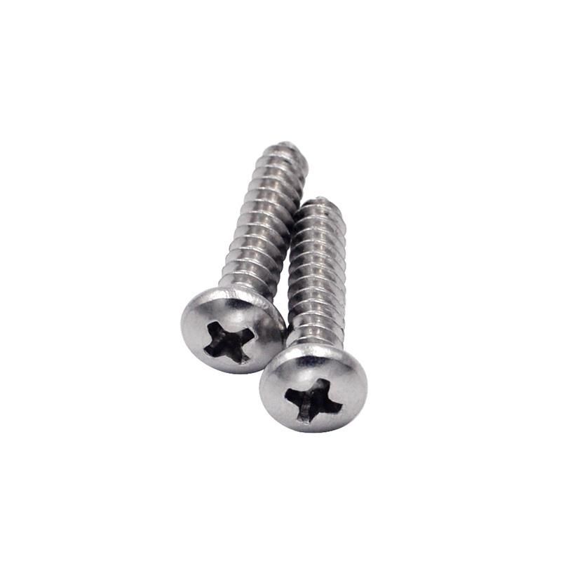 Stainless Steel 316 Self Tapping Screw Black Zinc Hex Pan Head Screws Custom Kinsom Fastener/Hexagon Socket Screw/Self Drilling Screw/Black Screw