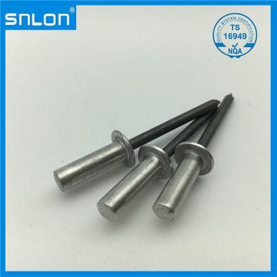 Sealed Blind Rivet Stainless Steel for Auto Parts