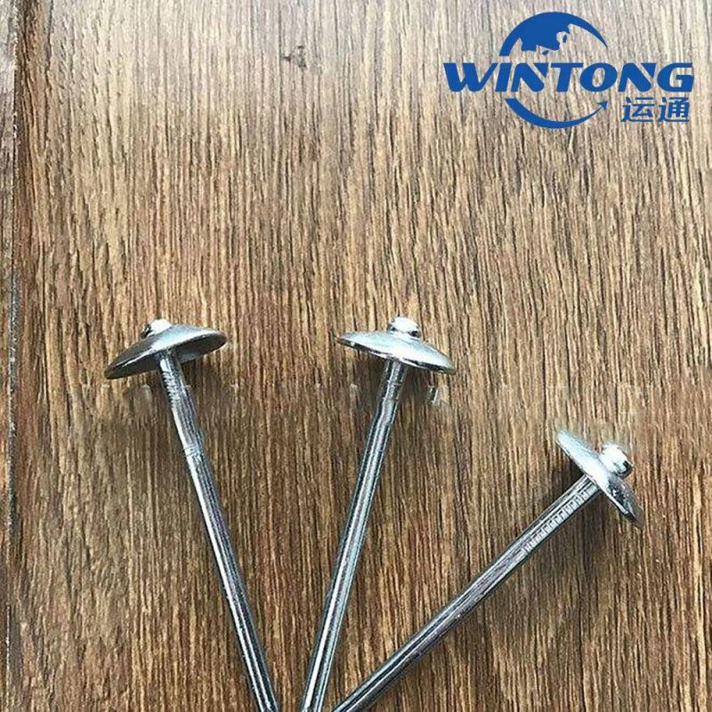 Galvanized/ Umbrella Twist Smooth Shank Roofing/Lron/Finish /Tapping Screw /Wire/Boat /Nails