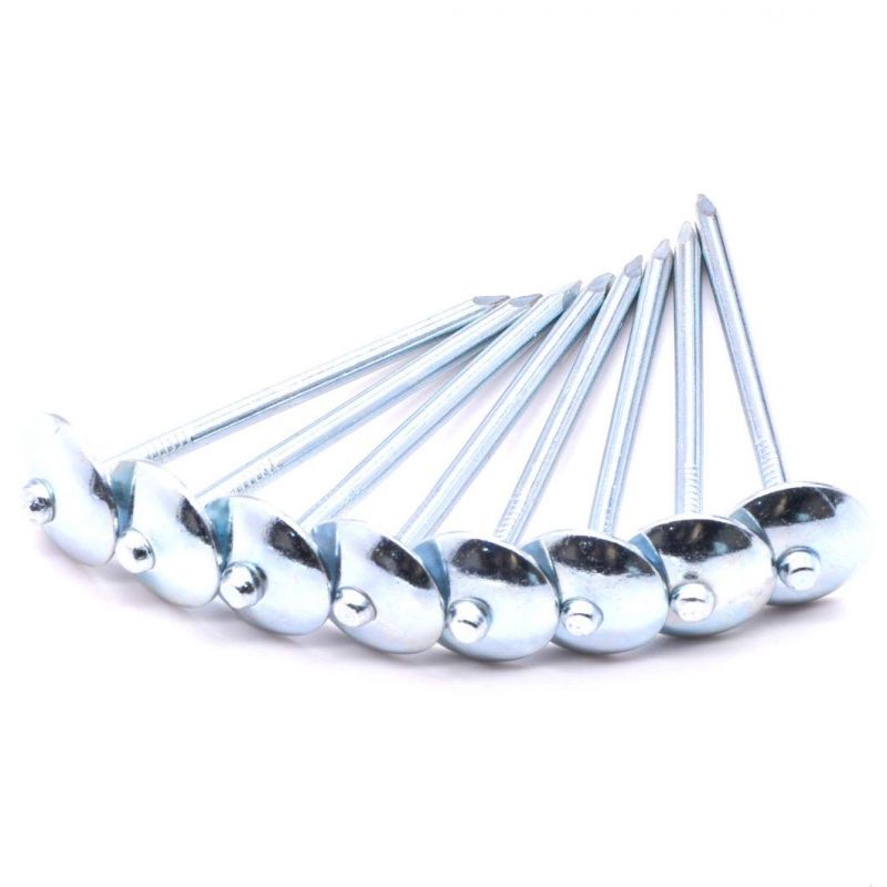 Chinese Factory Supply Umbrella Head Roofing Nails Construction Low Price Galvanized Roofing Nails