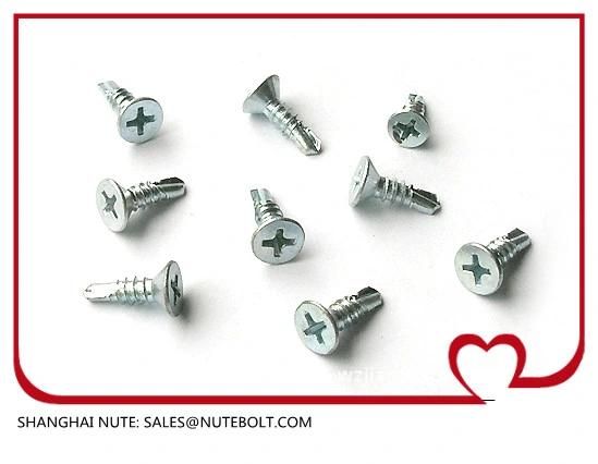 Stainless Steel 304 316 410 Self Drilling Screws St2.9 to St6.3, Flat Head, Pan Head, Hex Washer Head, Truss Head, and So on.