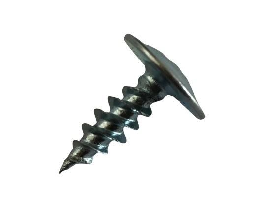 Truss Head and Phillip Recess Self Tapping Screw C1022 Steel Harden