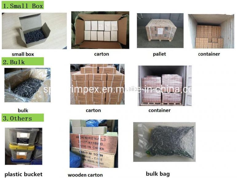 Leather Belts Binding Male Female Chicago Binding Post Bolts Screws