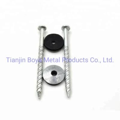 The Multifunctional Galvanized Nails with Umbrella Head with High Quality