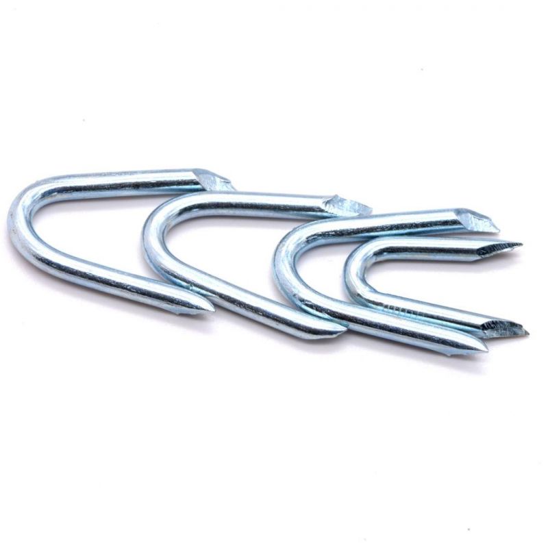 Best Choice Barbed U Shape Iron Wire Nail Common Diamond Sharp U Type Nail