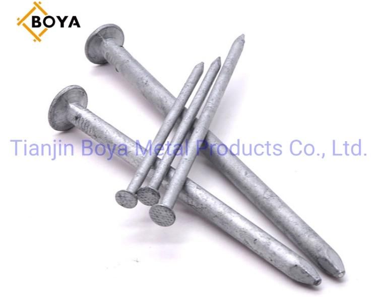 Common Nail/Building Nail/Wire Nail/Construction Nail/Iron Nail/Steel Nail/Hardware Nail