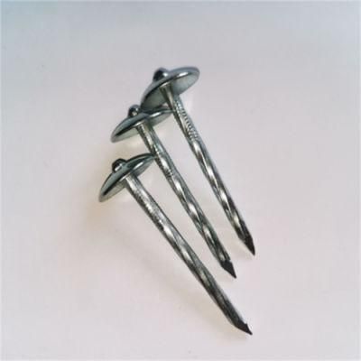 Asbestos Tile Nails/Roofing Nails Big Head Nails/Tile Nails