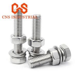Stainless Steel Hex Bolt with Hex Nut, Plain Washer and Spring Washer Assembly Screw