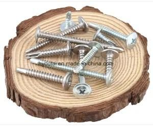 Modified Truss Head Self Tapping Drilling Screw White Zinc Plated Screws