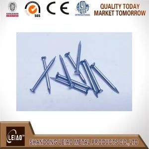 China Common Iron Wire Nails with Factory Price