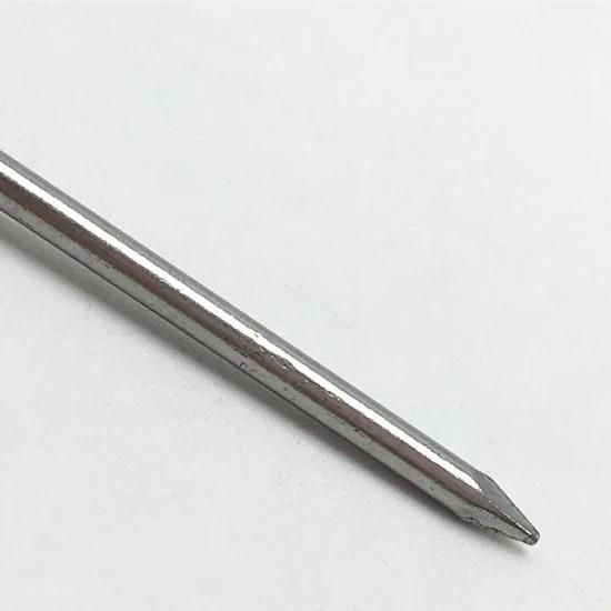Polished Common Wire Nails /Iron Nails/Pregos/Clavos Factory with Best Price