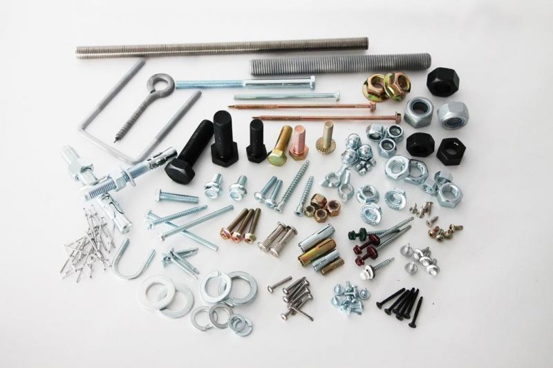 Hex Bolt/Carriage Bolt/Anchor Bolt/Flange Bolt/T Bolt/Square Head Bolt/Hex Socket Cap Screw/Square Bolt/Wing Bolt/Eye Bolt/Knurled Bolt/U Bolt/Hex Cap Screw