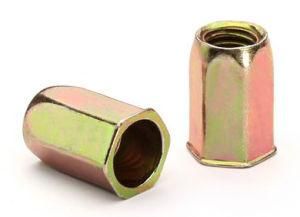 Reduce Head Full Hexagon Body Rivnut