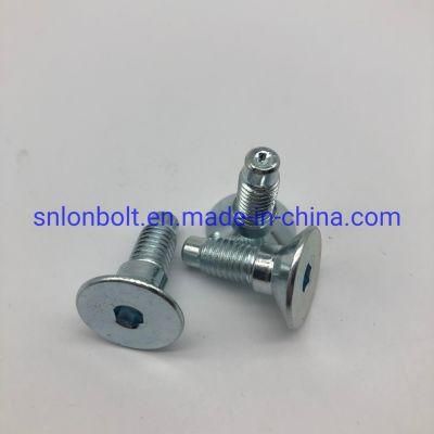 Csk Head Screw Step Screw Socket Screw with Dog Point