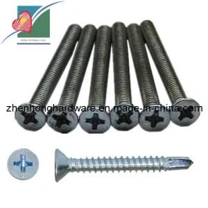 Stainless Steel Phillips Pan Head Screw (ZH-TS-005)
