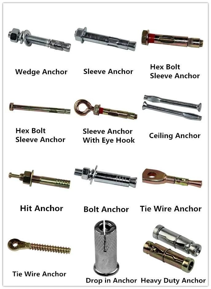 High Quality Nylon Hammer Drive Screws and Wall Plugs Anchor