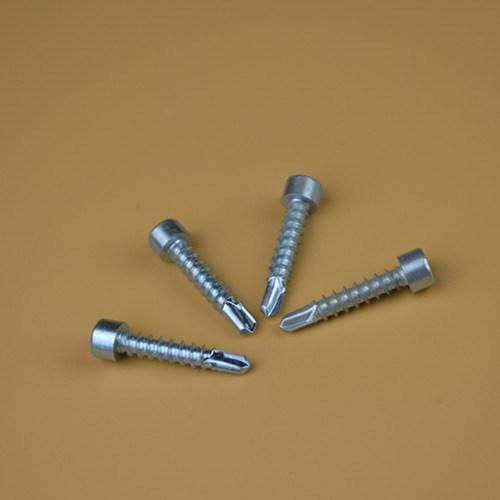 Self Tapping Screw/ Pan Head Self Tapping Screw/ Form B Thread Plastic Screw