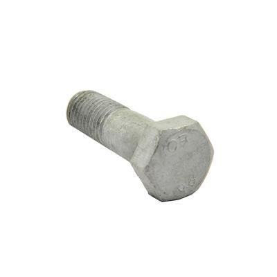 Hex Bolt HDG Screw with Nut and Washer
