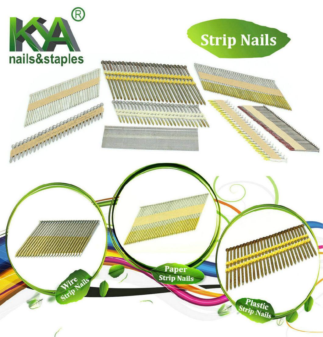 Plastic Composite T Brad Nails for Flooring, Decoration, Plastic Processing