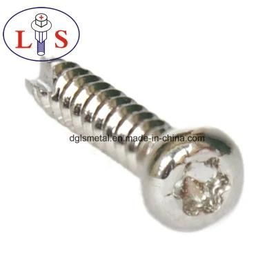 Stainless Steel Screw Ss304 B Type Torx Drive Screw