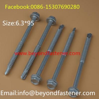 Xylan Screw/Screw/Self Drilling Screw/Fastener/Nail