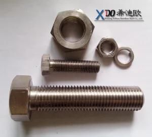 Alloy600 Bolt Nut Alloy601 Alloy625 Stainless Steel Fasteners