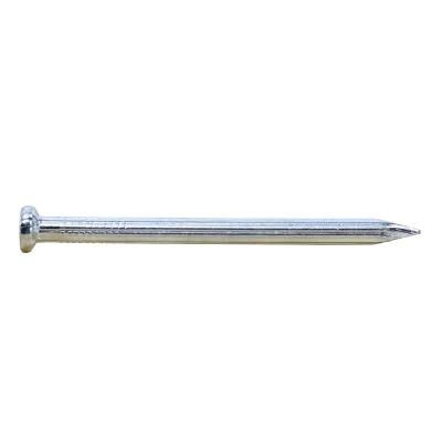 Galvanized Smooth Shank Concrete Nail in Guangzhou