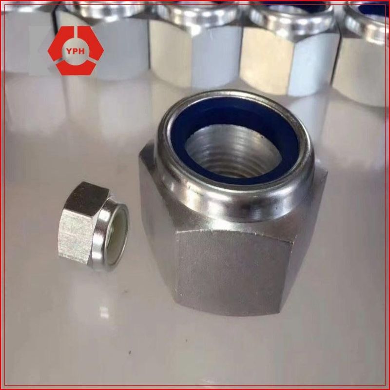 Hexgon Nylon Insert Nuts DIN982