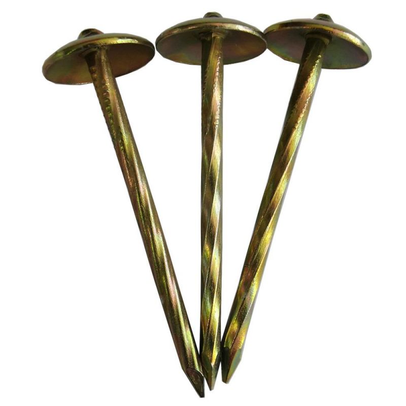 Hot Sale Q235 Iron Nail Perfect Quality Electric Galvanized Roofing Nail with Plain Shank and Twisted Shank