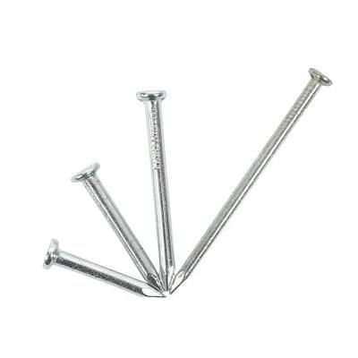 Factory Dircet Sale Electro Galvanized Common Nail with High Quality
