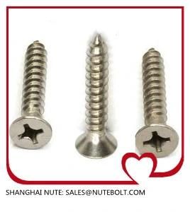 Self Tapping Screw Stainless Steel 304 316 DIN7981 DIN7982, Machine Screws, Self Drilling Screws