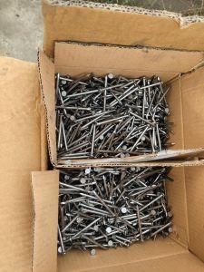 Common Wire Nail Fastener and Hardware Professional Manufacturer 5kg 4box Pack
