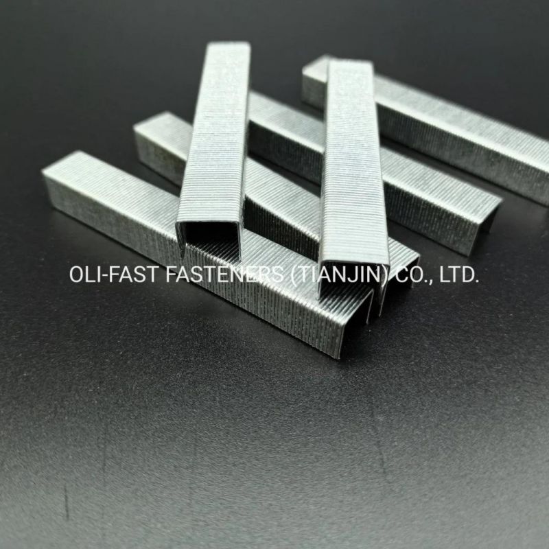 22ga 10f/03 Galvanzied Staples for Upholstery Furniture