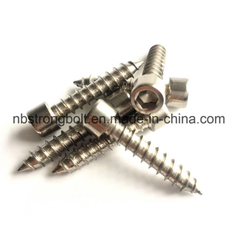 Self Tapping Screw, Socket Head Self Tapping Screw