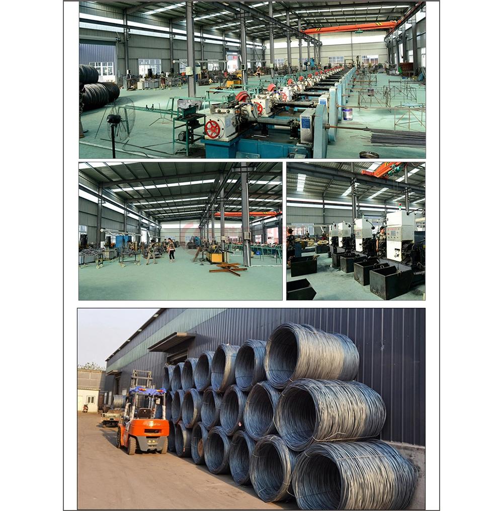 Zinc Plate U Bolt Carbon Steel Fasteners U-Bolt DIN3570 U Bolts Made in China U Shape Pipe Clamp