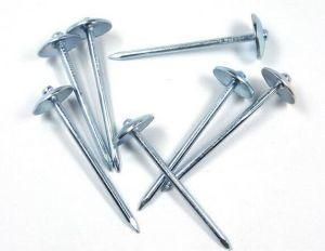 Professional High Quality of China Umbrella Head Roofing Nails