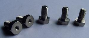 Hexagonal Ground Screw Home Appliance Screws and Fasteners (HT1310)