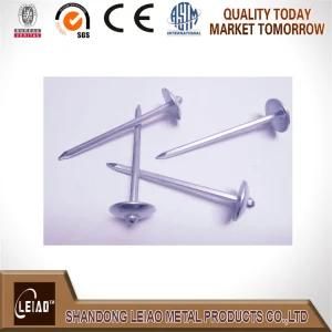 Bwg12 Roofing Nail Galvanized with Umbrella Head