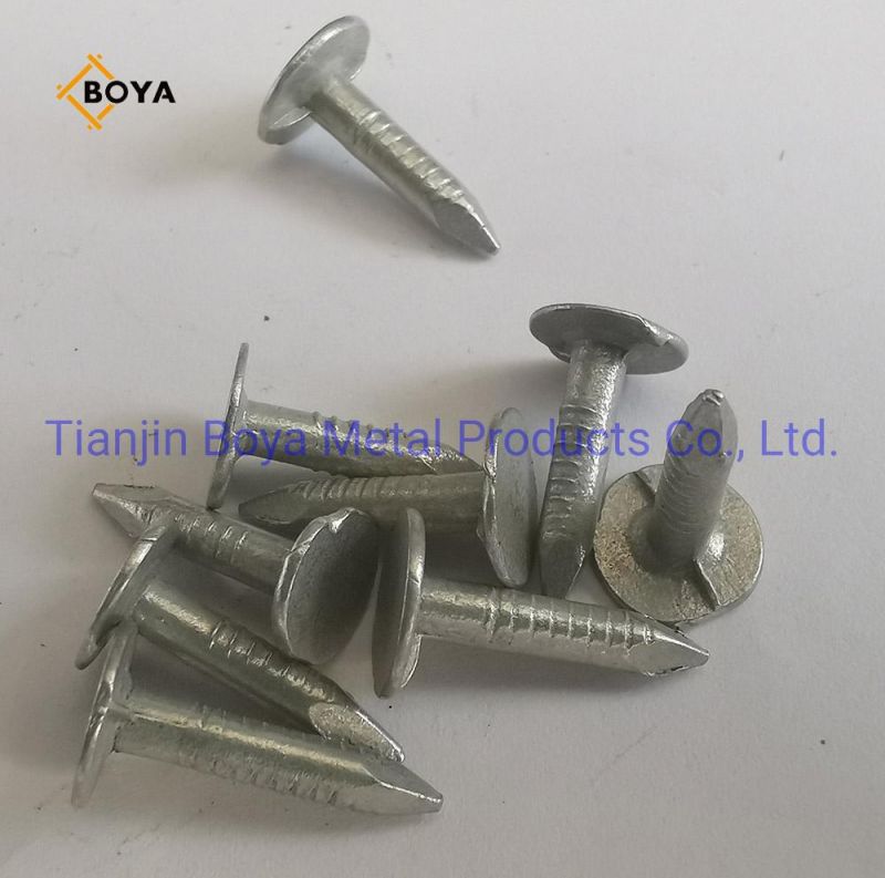 China Nails Factory Top Quality Clout Head Zinc Coated Cupper Nails