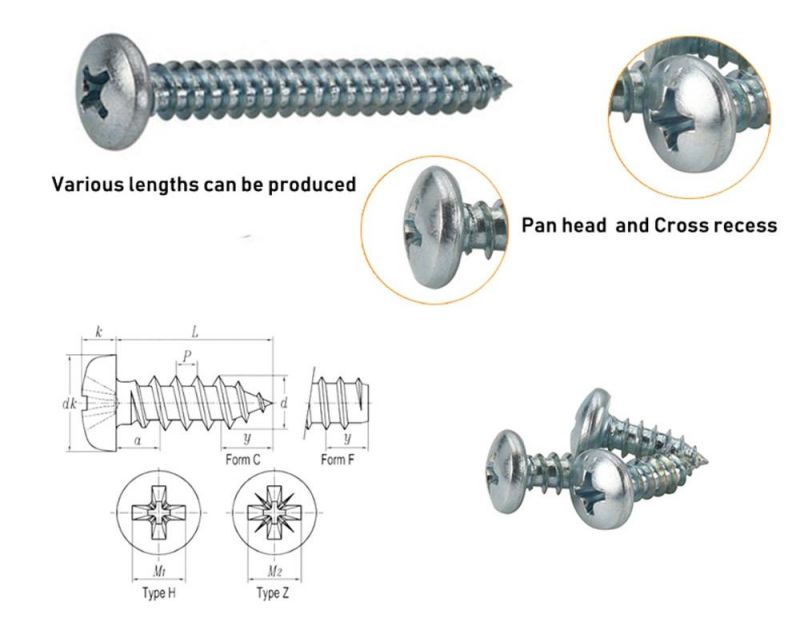 #2 Phillips Drive Pan Head blue Zinc Self Tapping Screw