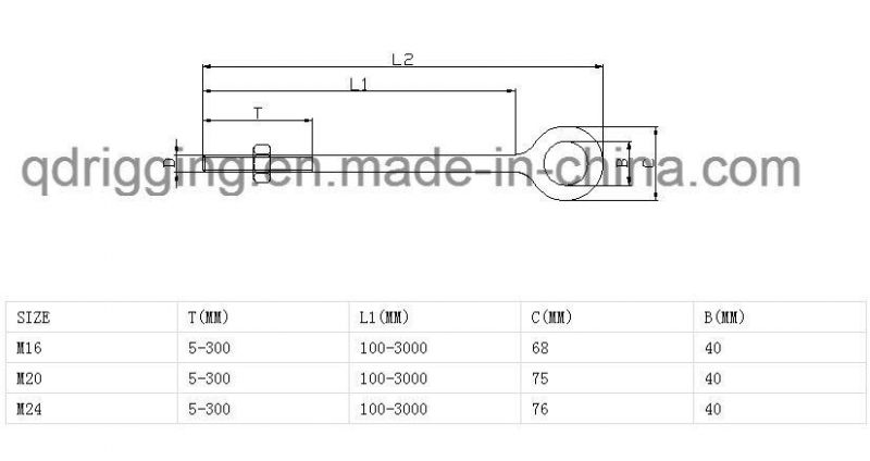 Stainless Steel Long Eye Bolt with Nut and Washer